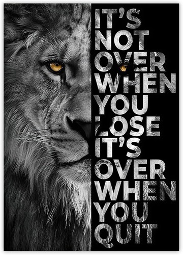 Lion gym poster fitness - lion,