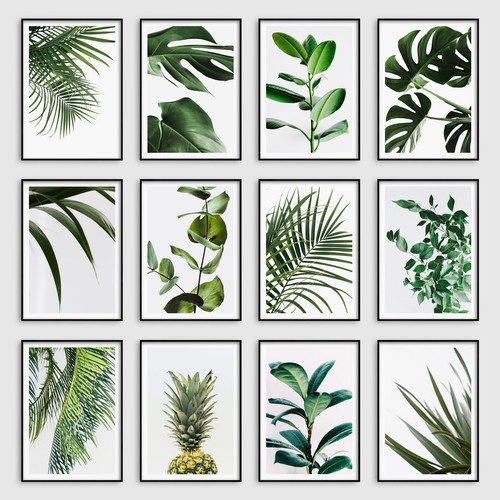 Botanical tropical leaves wall - leaves,