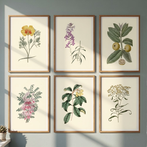 Set vintage botanical - of, 6