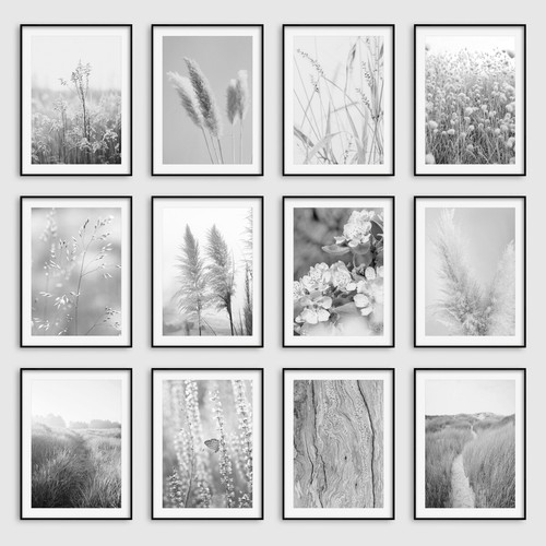 Black white botanical - white,