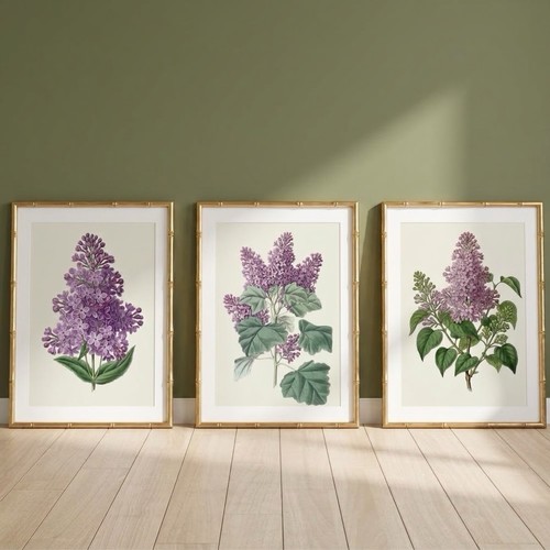 Set vintage botanical - 3,