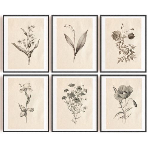 Vintage plants wall art - wall,