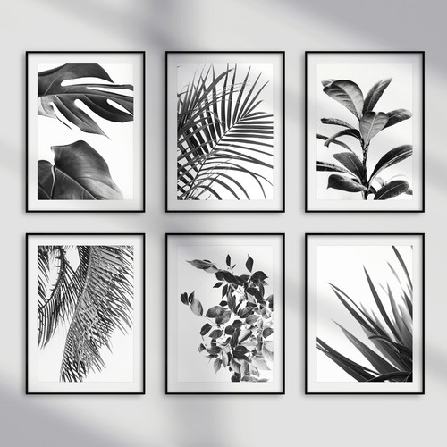 Black and white - white, botanical