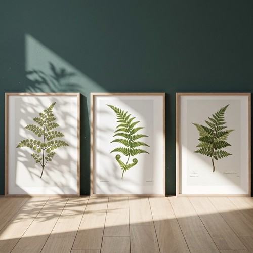 Set botanical fern art - fern,