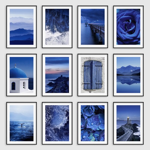 Navy blue botanical ocean - blue,
