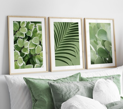 Set sage green - of,